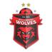 Wollongong Wolves (@WollGongWOLVES) Twitter profile photo