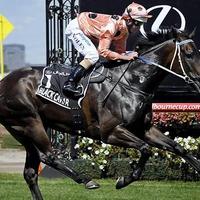 Aust Horse Racing (@austhorseracing) 's Twitter Profile Photo Aust Horse Racing (@austhorseracing) 's Twitter Profile Photo