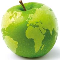 Expat Academy (@theexpatacademy) 's Twitter Profile