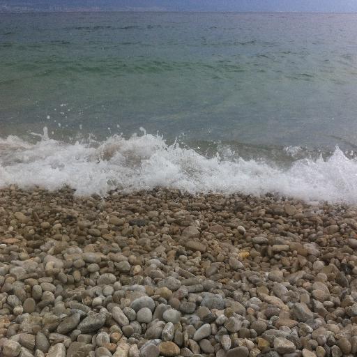 Alice_Krizova's profile picture. 