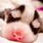 johnyyoi's profile image