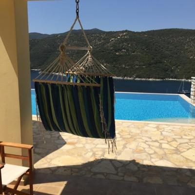 Mozzo911's profile picture. 