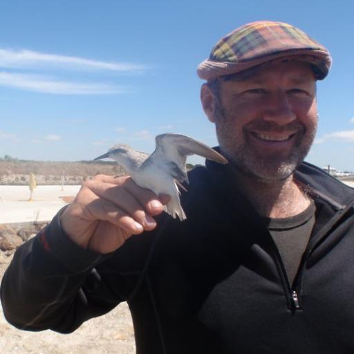 AdamLeavesley's profile picture. Bird enthusiast, swagman, navigator, sailor, bush firefighter. Views are my own.