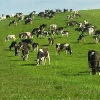 IrishFarmManagers (@ifma2020) 's Twitter Profile