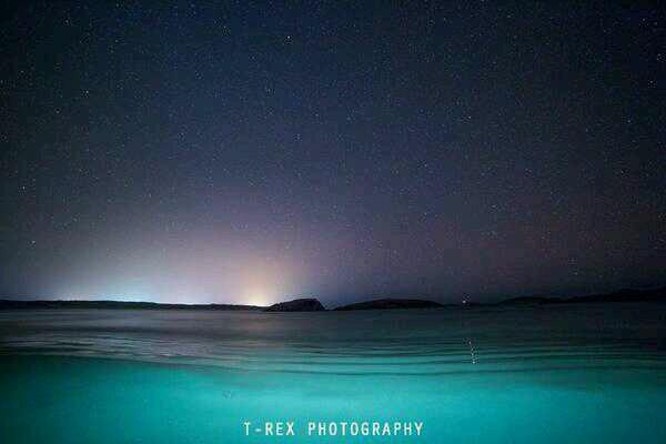 CurranJanine's profile picture. 