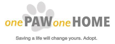 A campaign to raise the rate of pet adoption in Malaysia. Adopt a stray/shelter pets today and tag us! #1paw1home