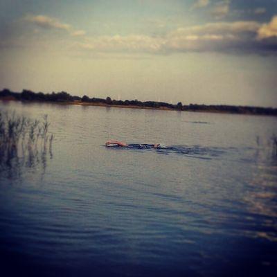 die_Rolex's profile picture. Keep calm and go swimming


my girl @schokokuchn❤