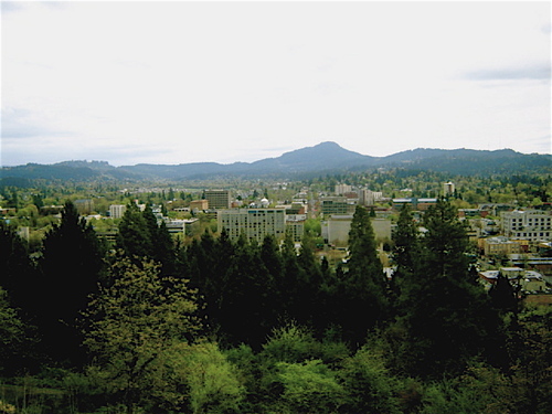 dynamicspaces's profile picture. We're an advocacy and journalistic 
 team devoted to supporting and educating the public about Eugene's outdoor infrastructure and open spaces.