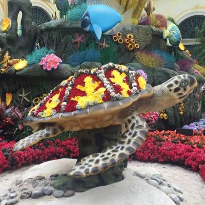 Amanda741982's profile picture. 