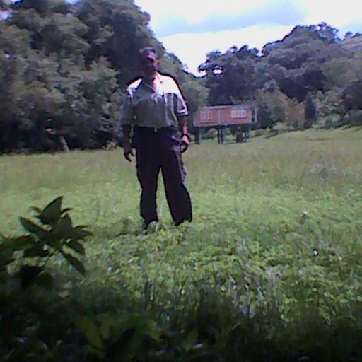 raydragon65's profile picture. 