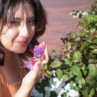 Gloria Zermeno (@grezermeno) 's Twitter Profile