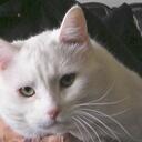 Marg Johnson - @welljoh - Twitter