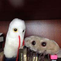 Fd Sc 408: Food Microbiology (@psufdsc408) 's Twitter Profile