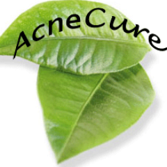 Proven bio-herbal recipe treatment & regime for acne vulgar treatment gaining healthy skin