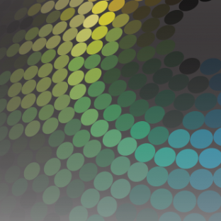 Marketing solutions company that provides graphic design, printing, mailing & fulfillment, promotional products & apparel