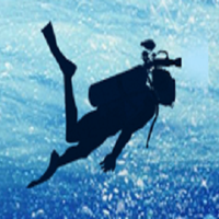 DeepSpearFishing (@deepspearfishin) 's Twitter Profile