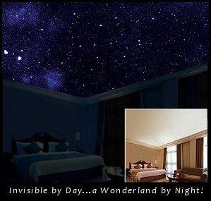 Let us take you to your own personal universe! We will give you your own one of a kind, realistic, 3 dimensional night sky ceiling mural. Sleep under the stars.