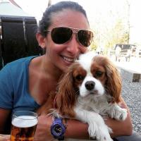 Dana Gropper (@dgropes) 's Twitter Profile