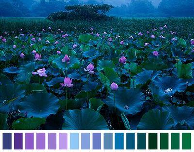 HUEMINATY's profile picture. run away with me, baby blue eyes