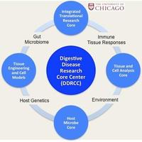 UChicago DDRCC (@uchicago_ddrcc) 's Twitter Profile