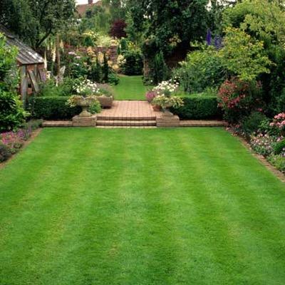 Like lawns? If yes, this page is for you! We're dedicated to sharing the best lawns out there. Not all content posted is mine. DM submissions to be featured!