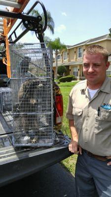 Orlando's Most Complete Wildlife Service

Call 407-900-4807