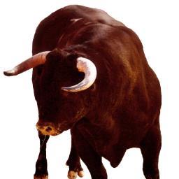 danmonastra's profile picture. 