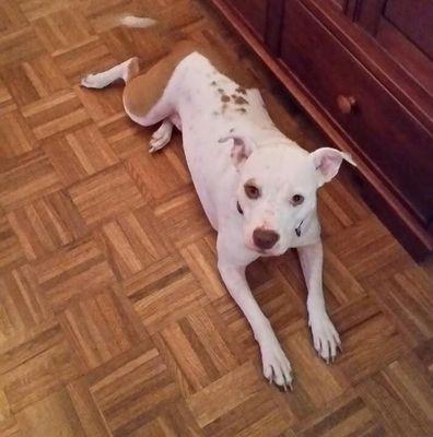 RhoadsKr47's profile picture. 