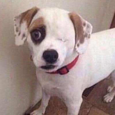 UnrelatableGifs's profile picture. 1738