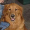 Sandy Conley - @sndyconley - Twitter