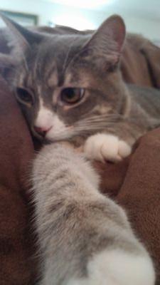 h2odeni's profile picture. 