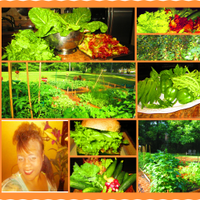 Lovers4healthylife (@lovers4_life) 's Twitter Profile