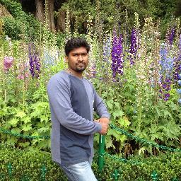 jebakingston1's profile picture. 