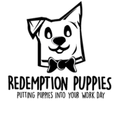 RedemptionPups's profile picture. Homeless puppies visit offices to get socialized and find homes. A puppy day is a good day.