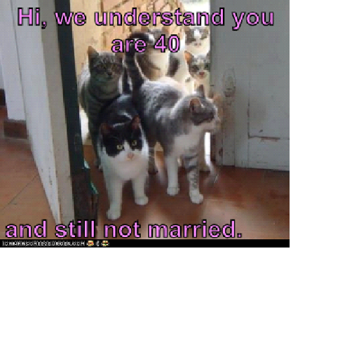 lucidgoat's profile picture. 