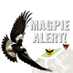 Magpie Alert (@magpiealert) Twitter profile photo Magpie Alert (@magpiealert) Twitter profile photo