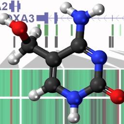 The Division of Epigenetics at the German Cancer Research Center. Pursuing research on cancer epigenetics, epitranscriptomics, ...and marbled crayfish.