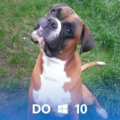 gloves085's profile picture. 50yo White Guy in Tech! (one redeeming feature 🌈) - he/him.
Bent Ex-Squaddie, Nerd!
Often Drunk Posting - Compliments are real, offense mostly not intended.