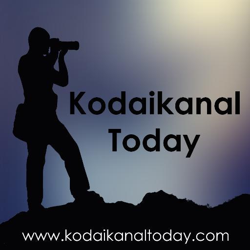 kodaikanaltoday Profile Picture