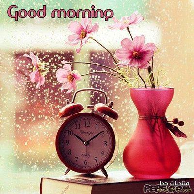 Mirna_alkari's profile picture. 