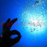 Dive Alonissos (@divealonissos) 's Twitter Profile
