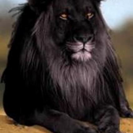 TrePowellL4D's profile picture. 144 / 12 =