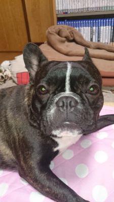 mattari_IM0KENP's profile picture. まったり【積み】げーまー