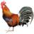 Galloderechoc's profile image