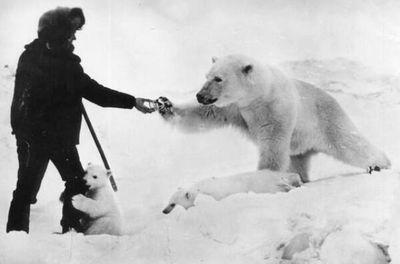 marchalhollet's profile picture. admirelanatureetlessciencesetlaphoto