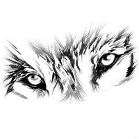 Buena Park High (@buenaparkhs) 's Twitter Profile