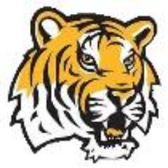 otmstigers's profile picture. 