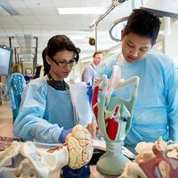 Doctors CME (@doccme) 's Twitter Profile