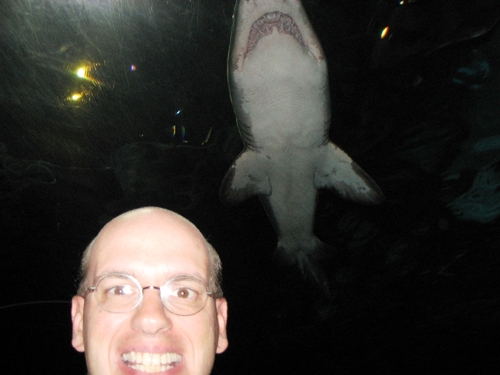 mrbornac's profile picture. #yanggang #forward - believer in the power of UBI - lover of the Badgers, White Sox, Bears, and Blackhawks. living blue in a purple st (NV), #DnD #rushfamily