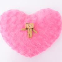 アキュラ (@acuracameraman) Twitter profile photo